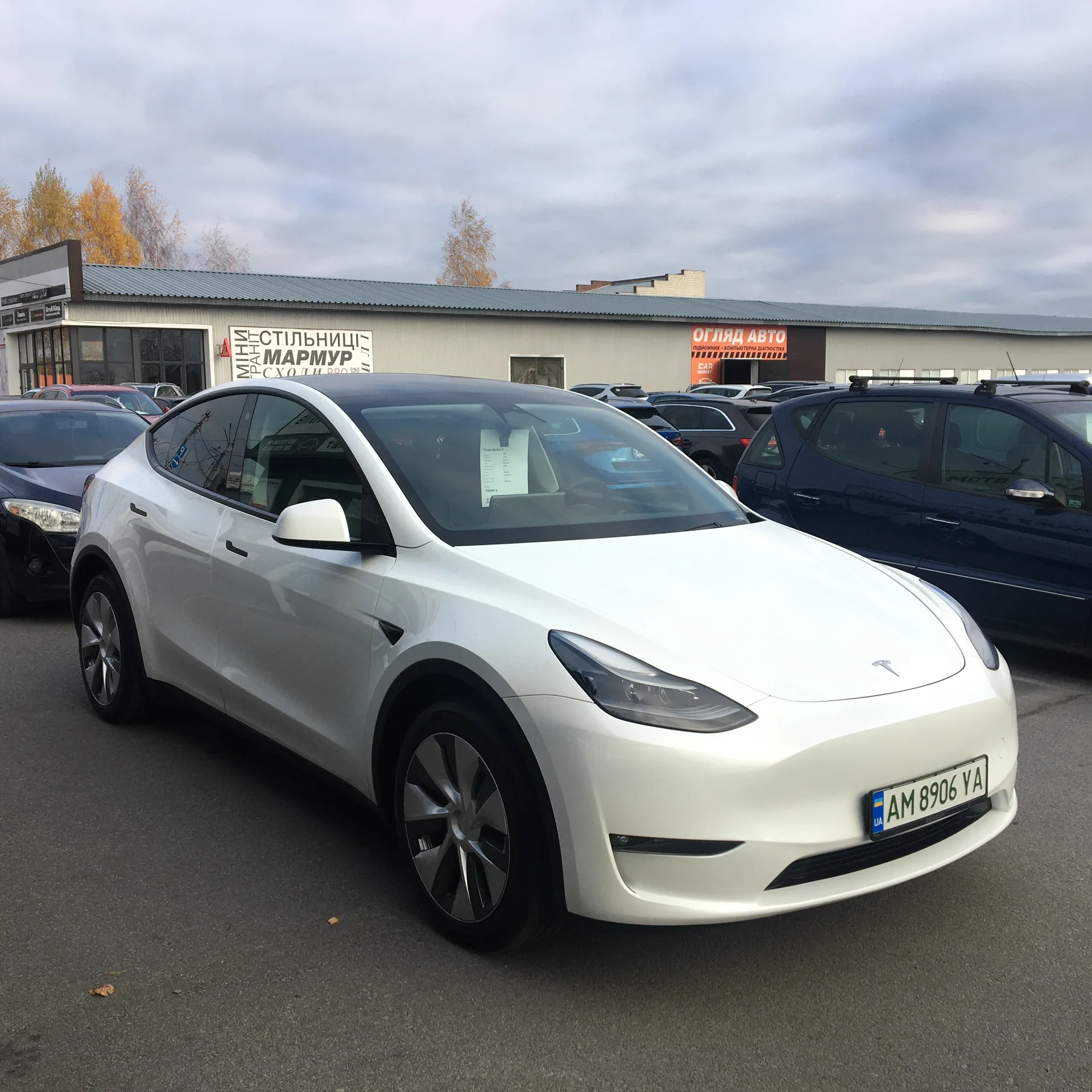 Tesla Model Y — фото 2