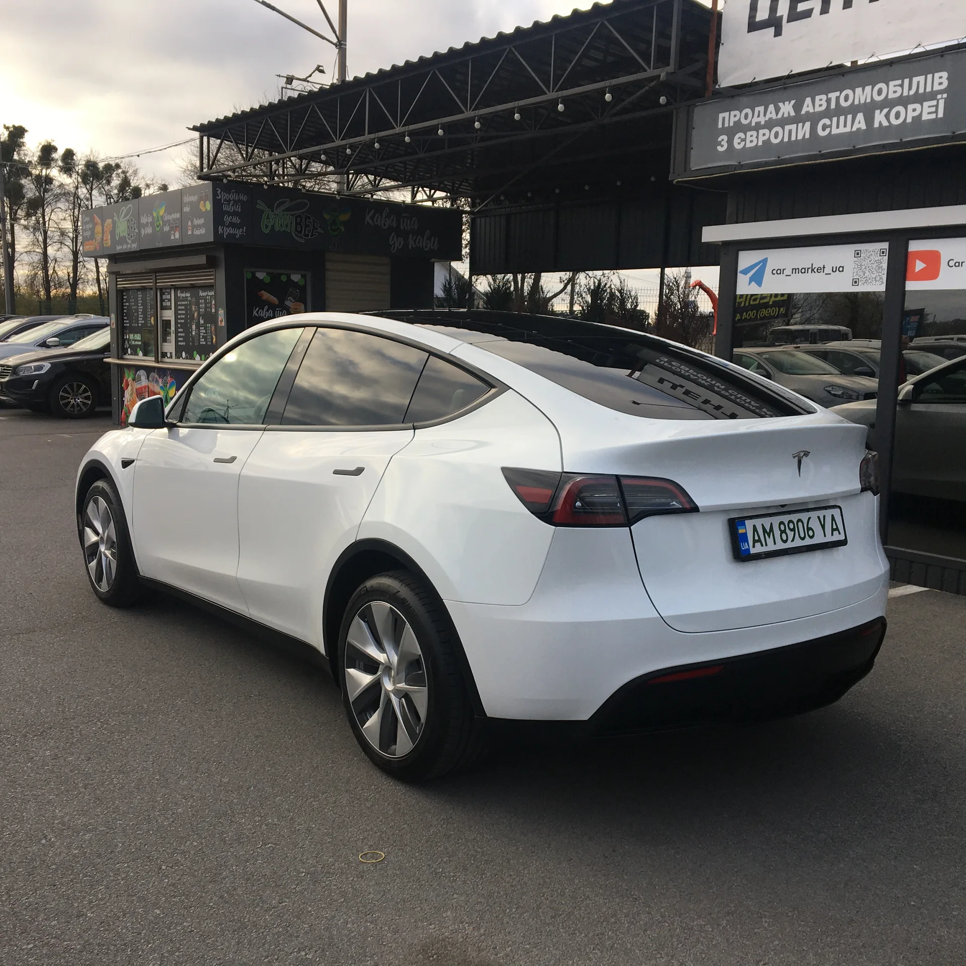 Tesla Model Y — фото 3