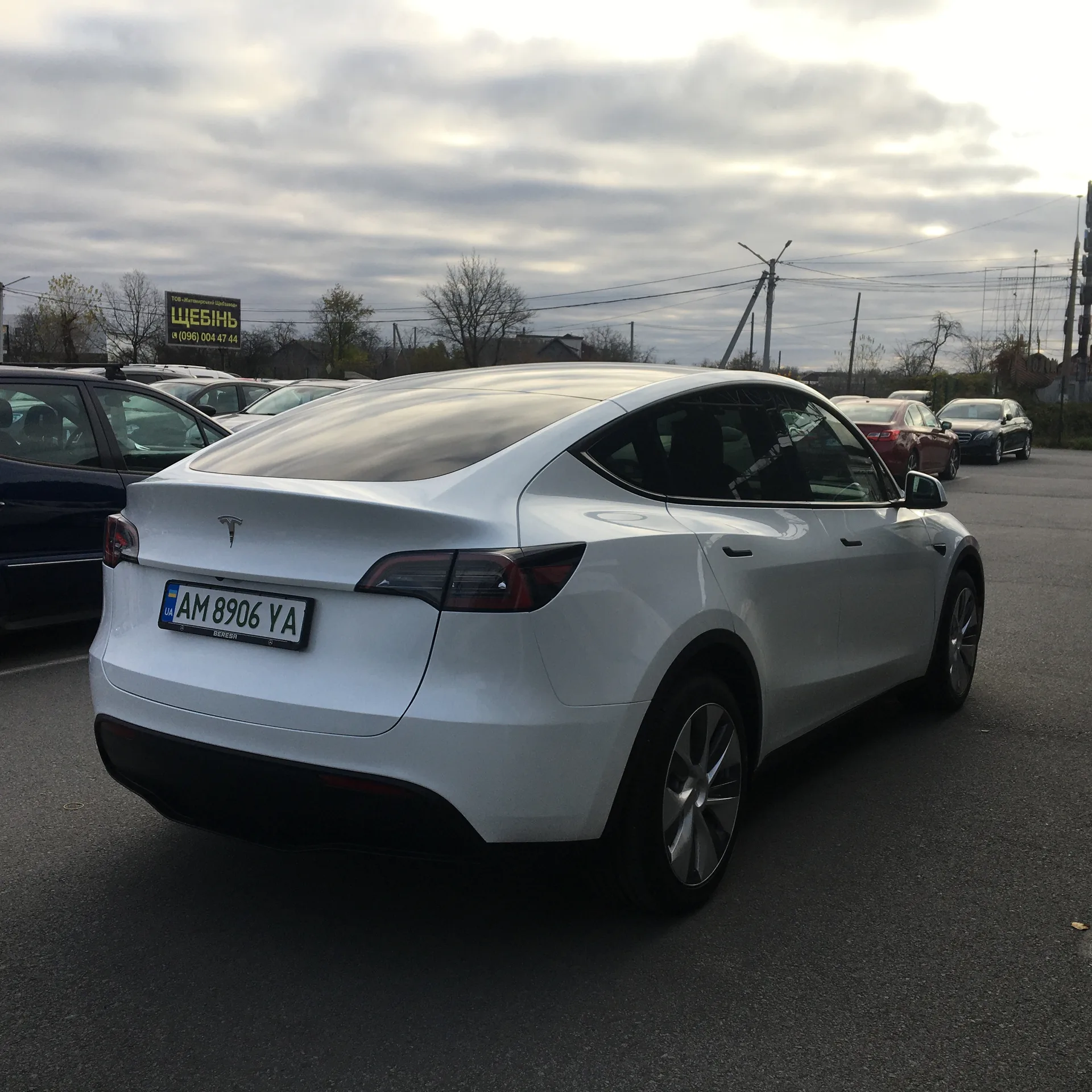 Tesla Model Y — фото 4