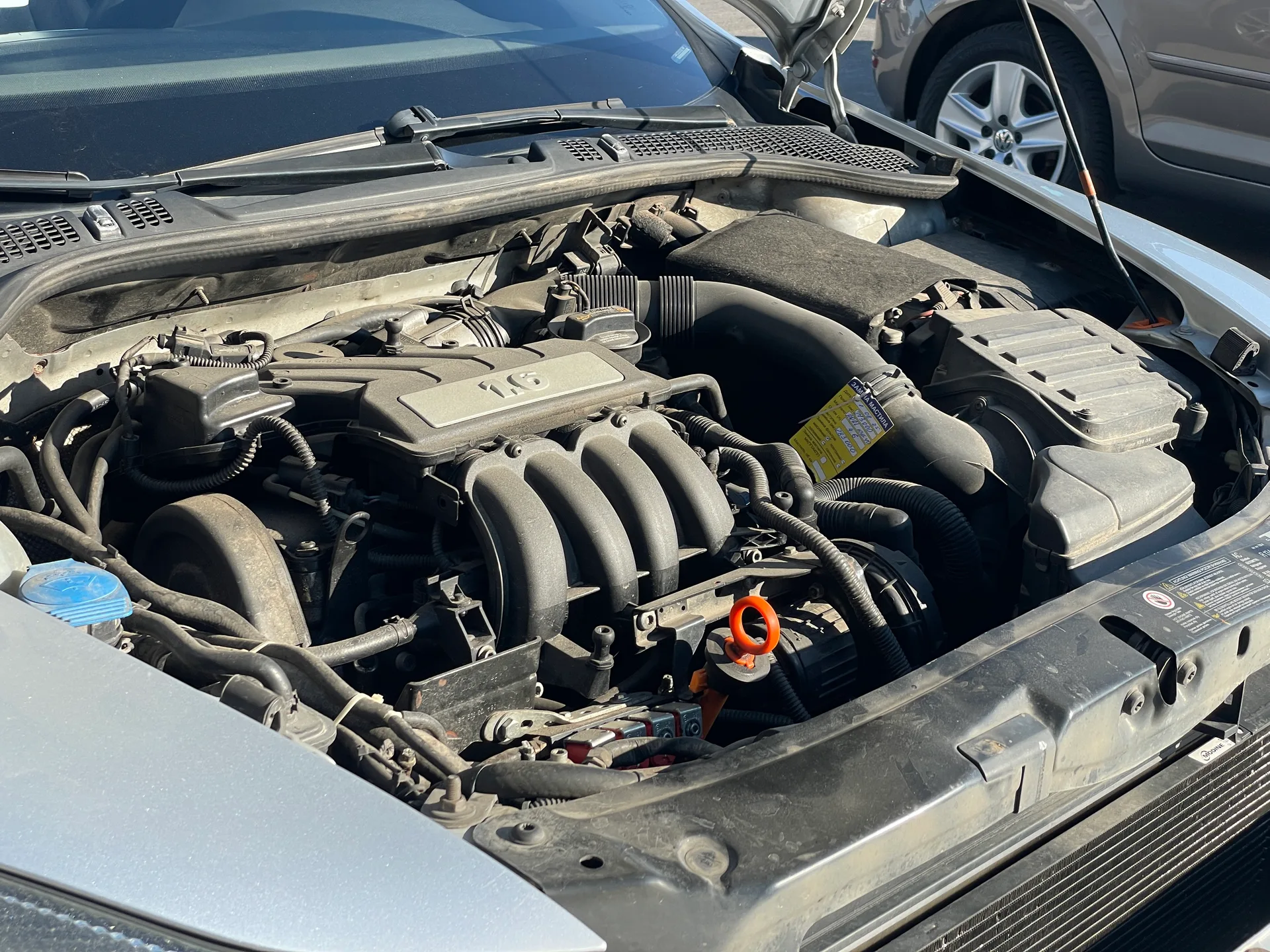 Skoda Octavia — фото 11