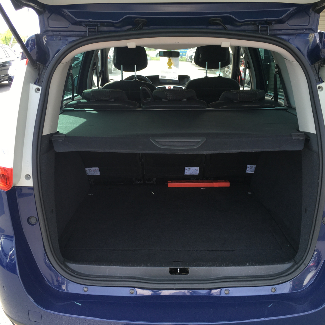 Renault Grand Scenic 2009 Renault Grand Scenic 2009