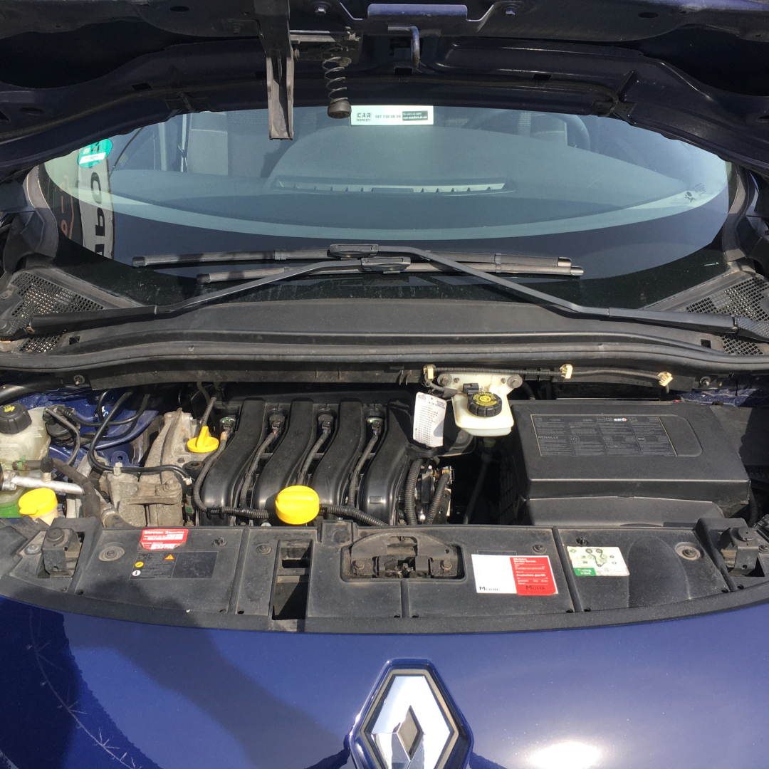 Renault Grand Scenic 2009 Renault Grand Scenic 2009