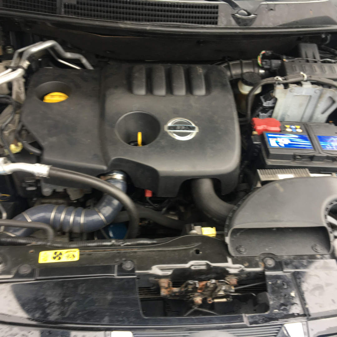 Nissan Qashqai+2 2010 Nissan Qashqai+2 2010