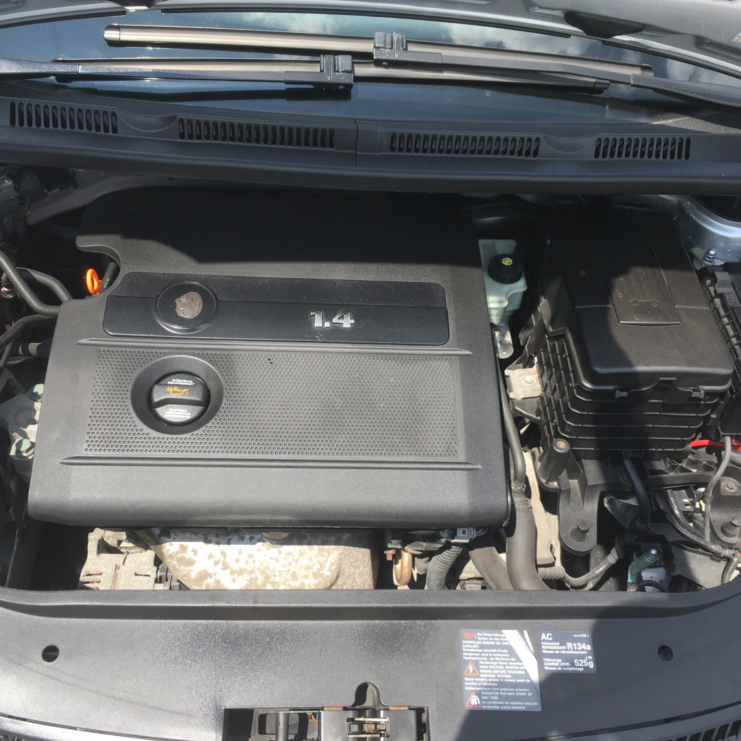 Volkswagen Golf Plus 2005 Volkswagen Golf Plus 2005