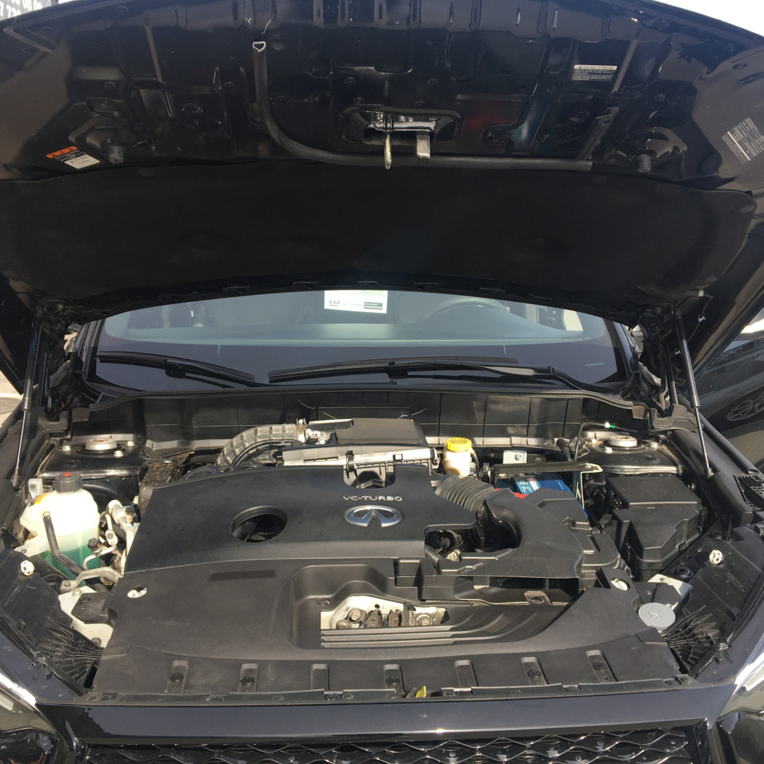 Infiniti QX50 2022 Infiniti QX50 2022