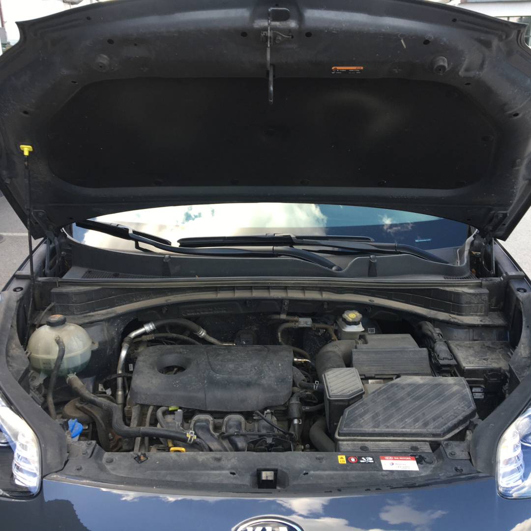 Kia Sportage 2020 Kia Sportage 2020