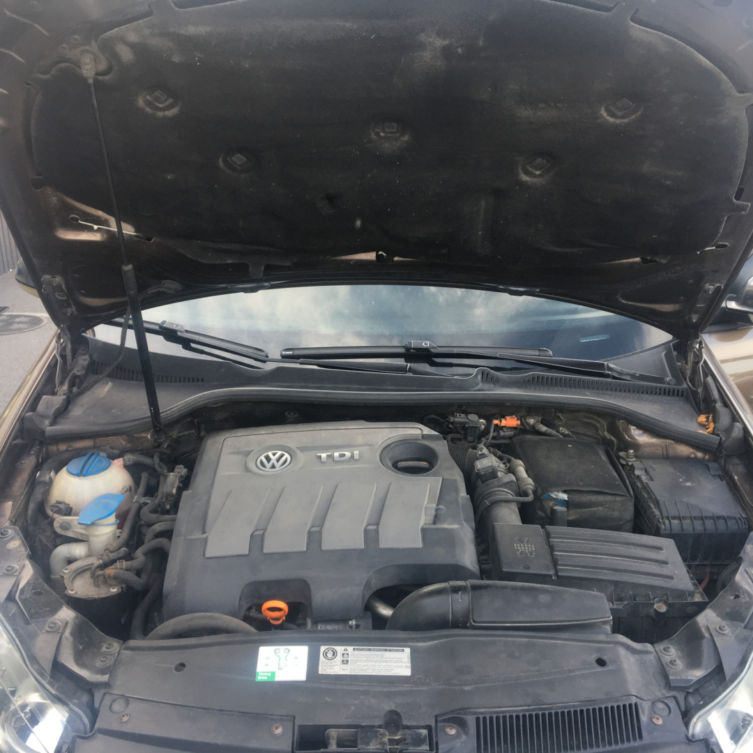 Volkswagen Golf 2012 Volkswagen Golf 2012