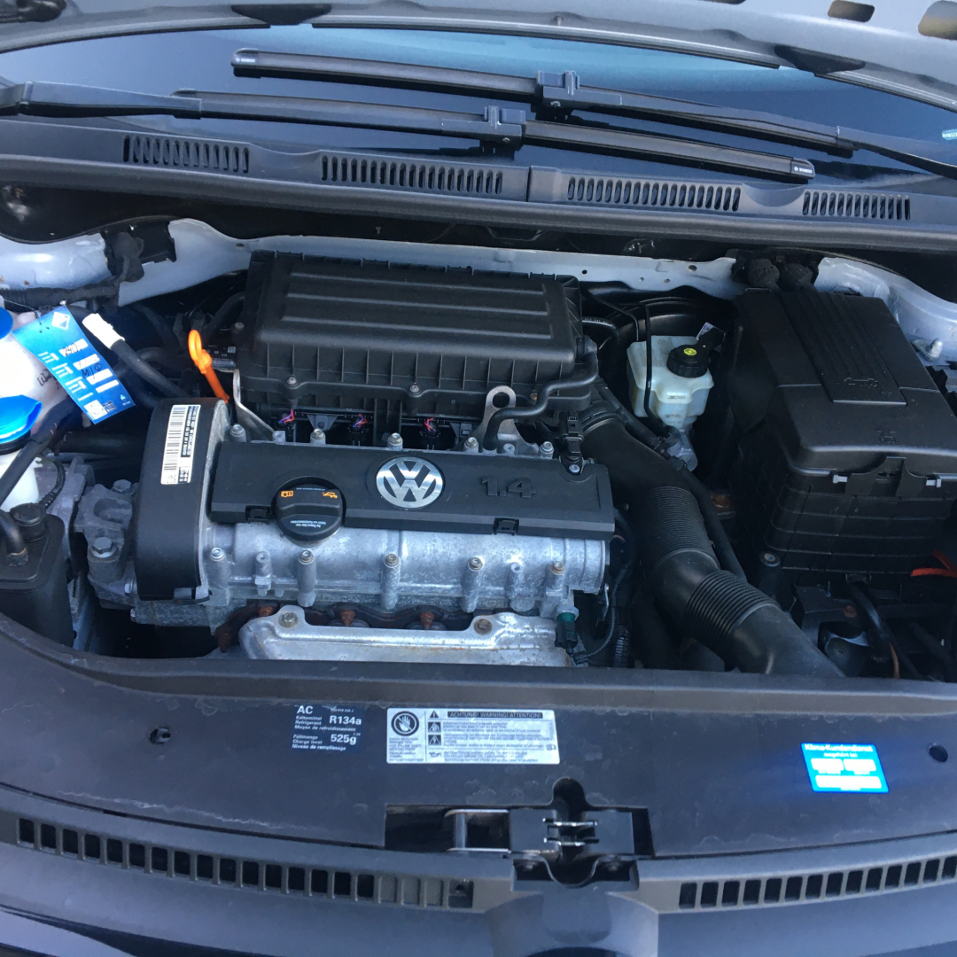 Volkswagen Golf Plus 2009 Volkswagen Golf Plus 2009