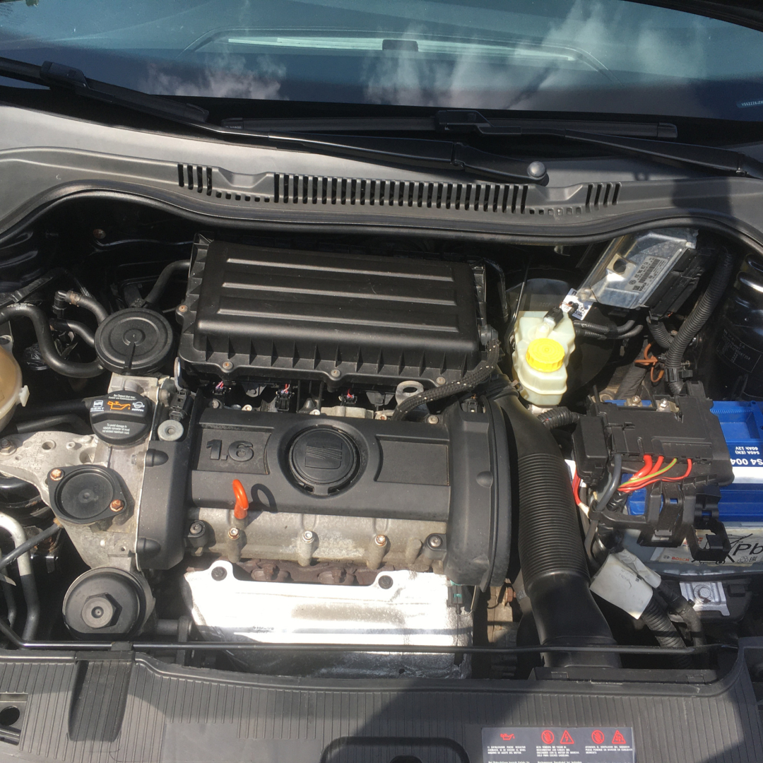 SEAT Ibiza 2008 SEAT Ibiza 2008