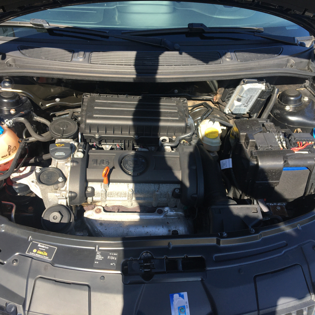 Skoda Roomster 2008 Skoda Roomster 2008