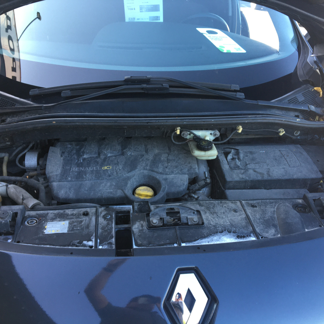 Renault Grand Scenic 2009 Renault Grand Scenic 2009