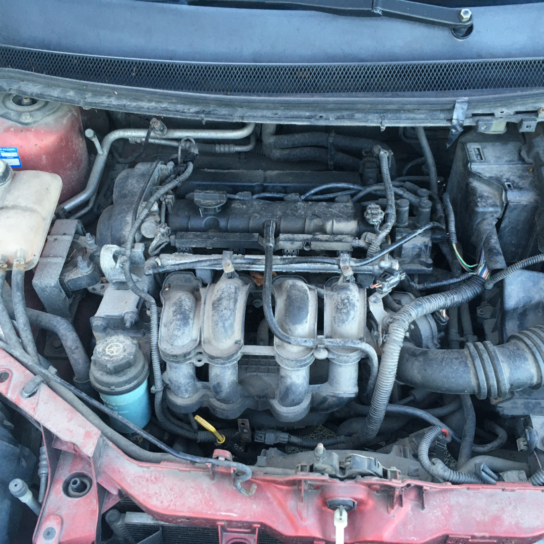 Ford Focus 2005 Ford Focus 2005