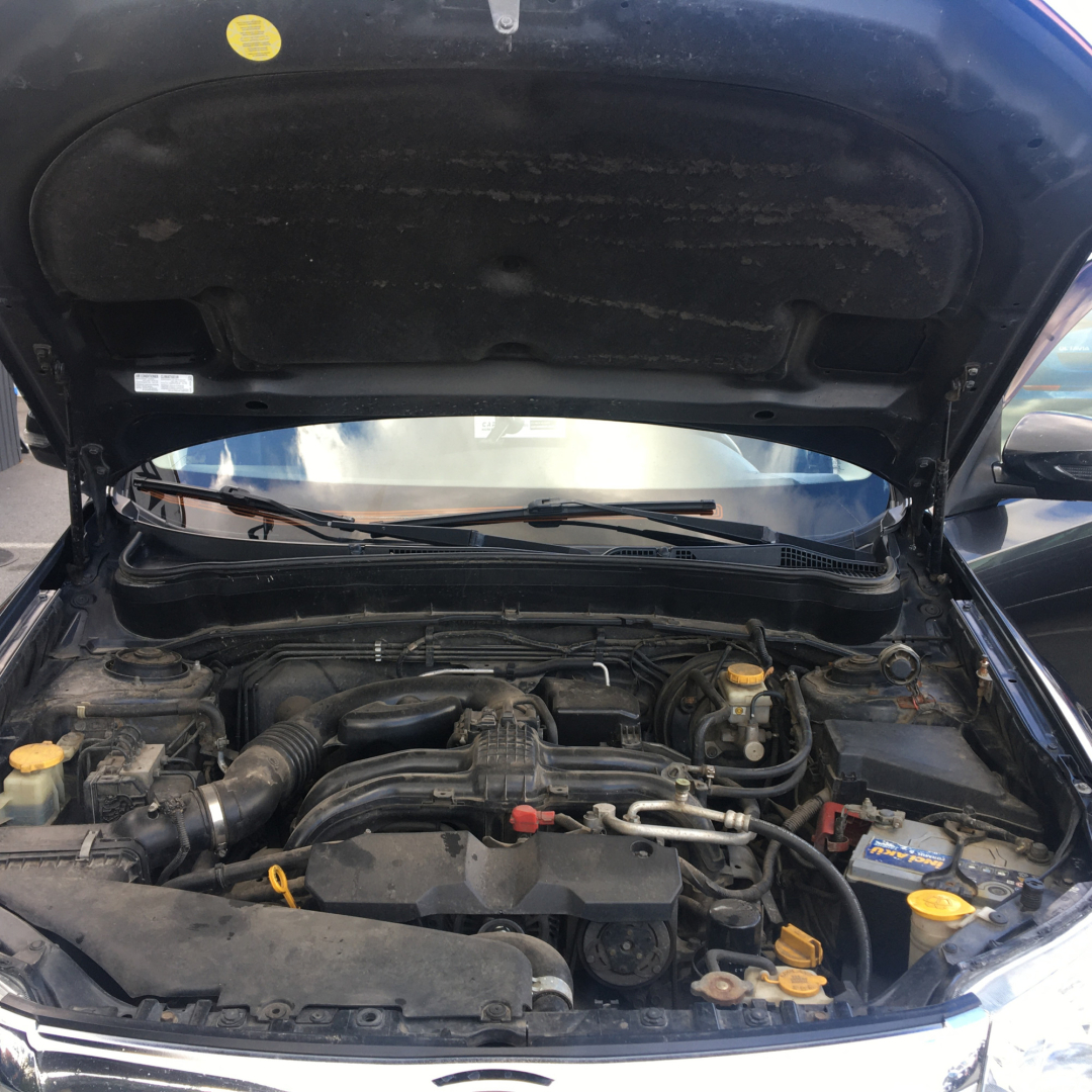 Subaru Forester 2011 Subaru Forester 2011