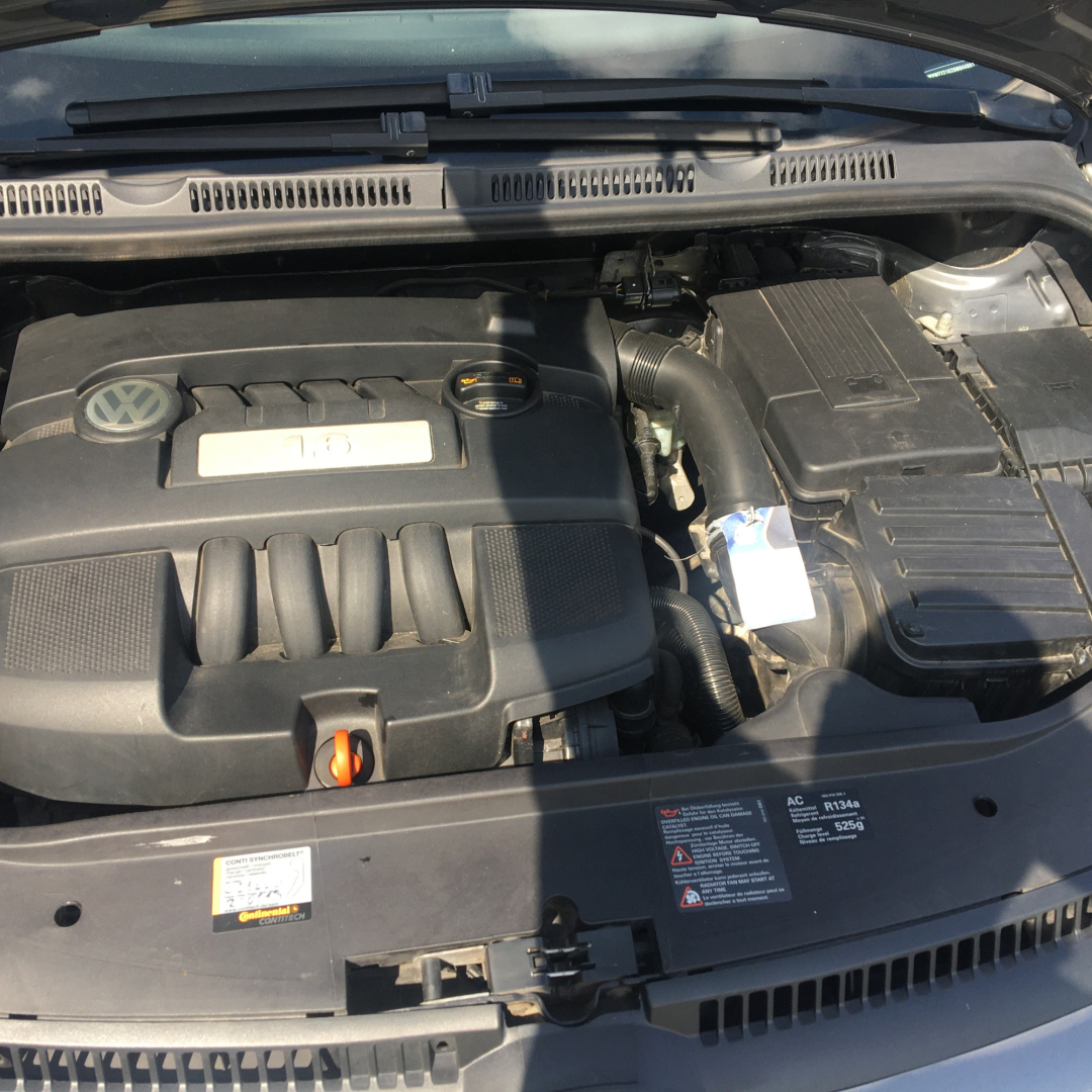 Volkswagen Golf Plus 2008 Volkswagen Golf Plus 2008