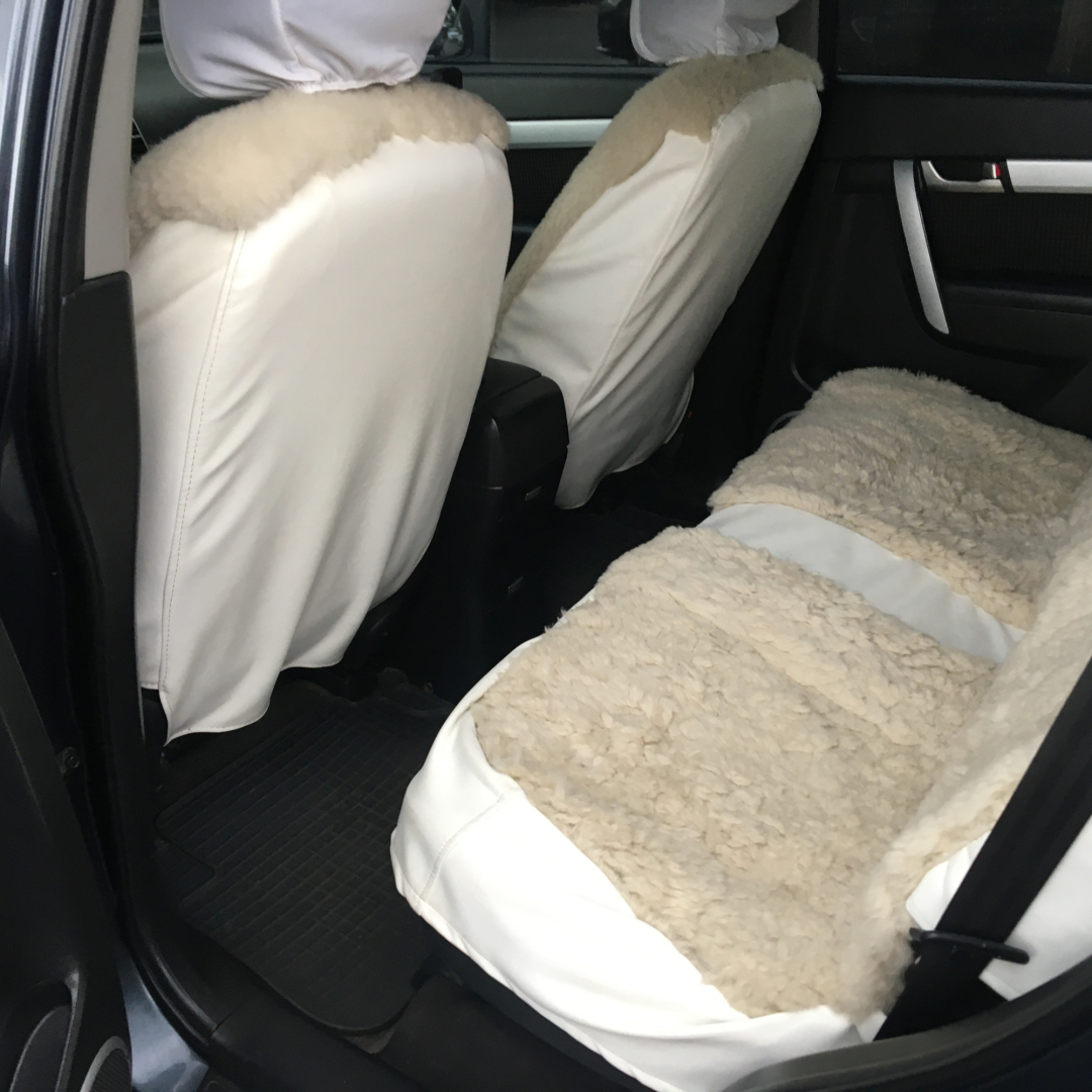 Chevrolet Captiva 2007 Chevrolet Captiva 2007