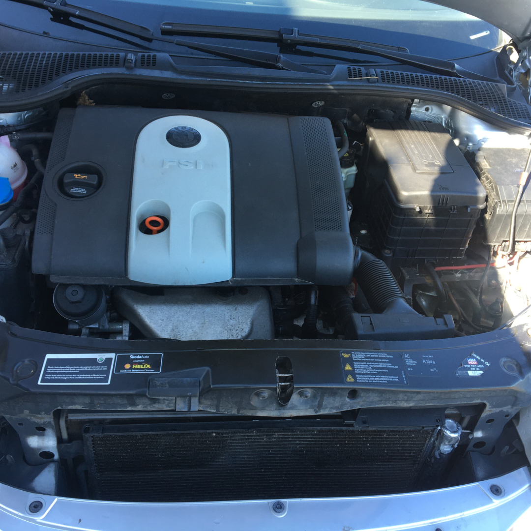 Skoda Octavia A5 2008 Skoda Octavia A5 2008