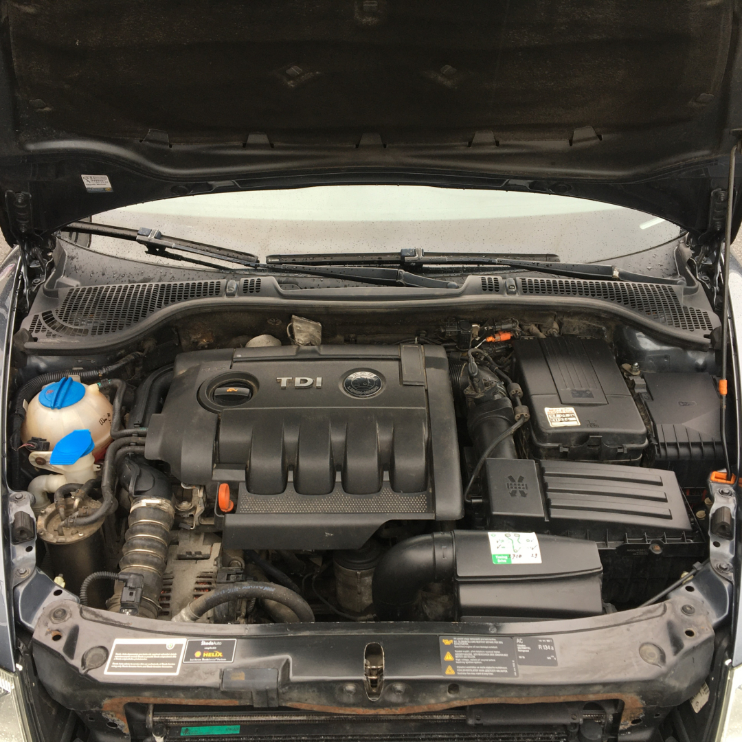 Skoda Octavia A5 2009 Skoda Octavia A5 2009