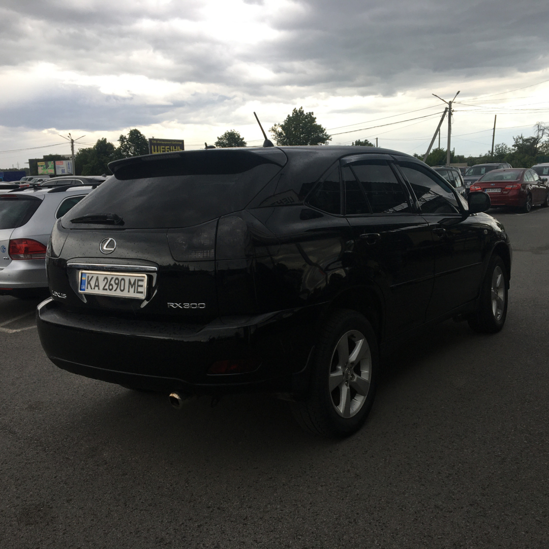 Lexus RX 300 2005 Lexus RX 300 2005