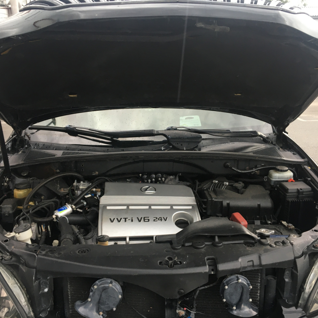 Lexus RX 300 2005 Lexus RX 300 2005