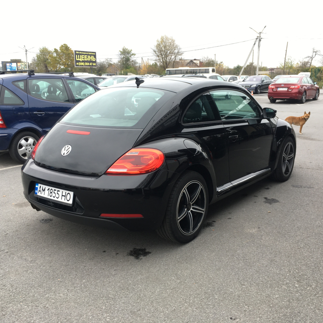 Volkswagen New Beetle 2012 Volkswagen New Beetle 2012