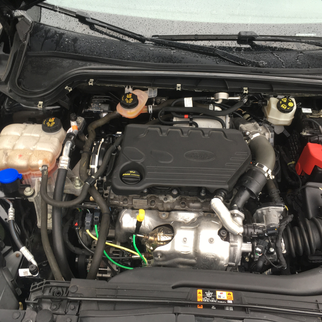 Ford Focus Active 2020 Ford Focus Active 2020