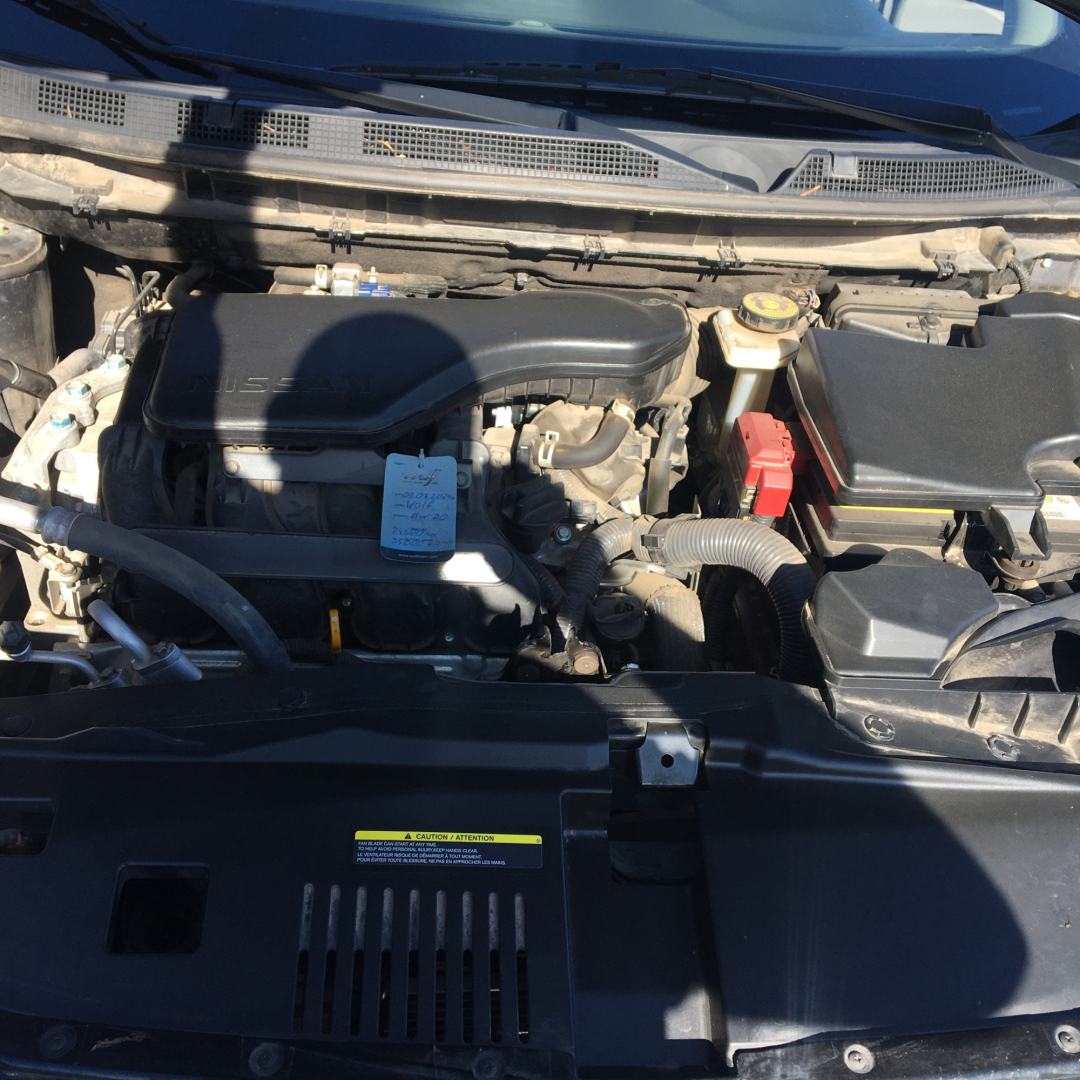 Nissan Rogue Sport 2021 Nissan Rogue Sport 2021