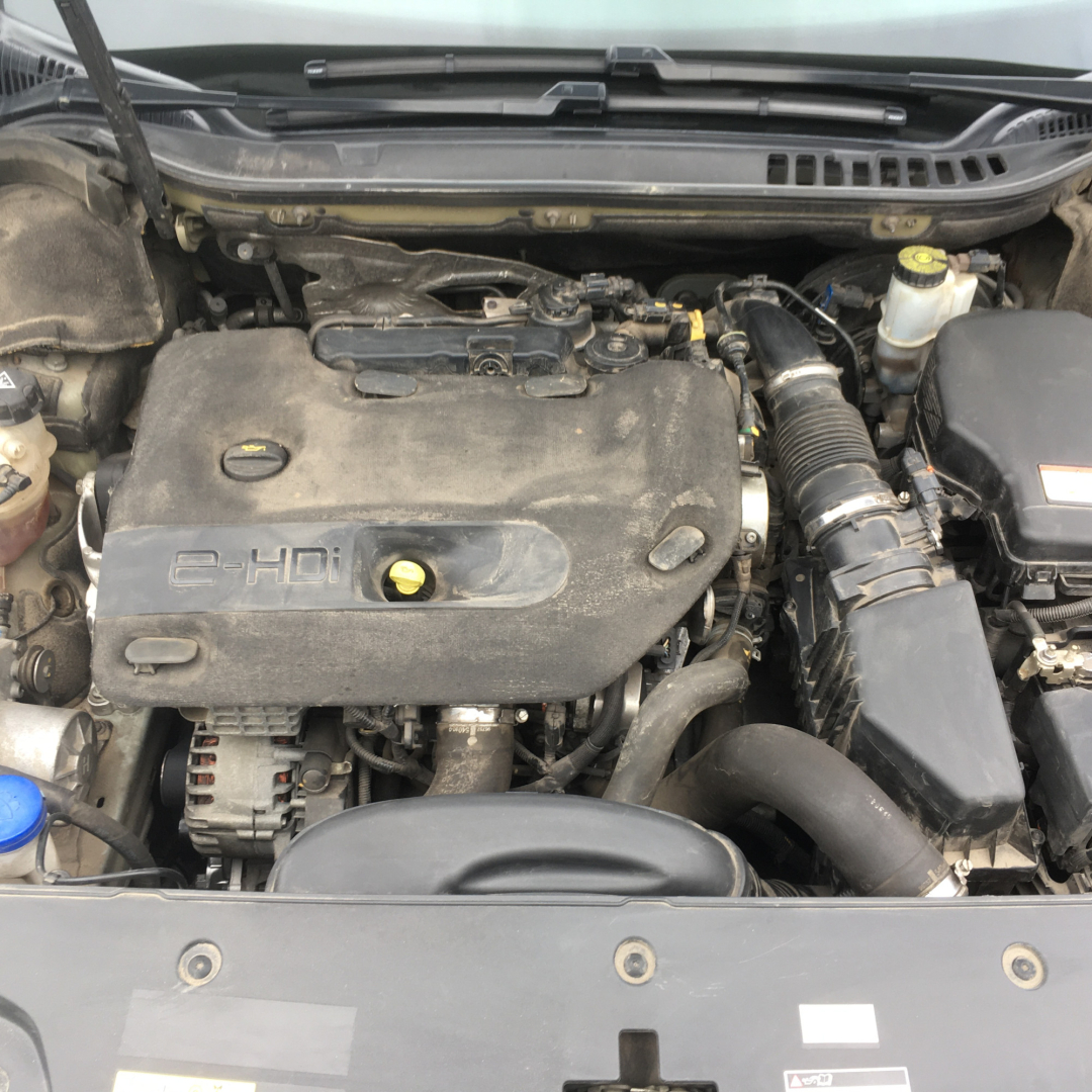 Kia Sorento 2019 Kia Sorento 2019