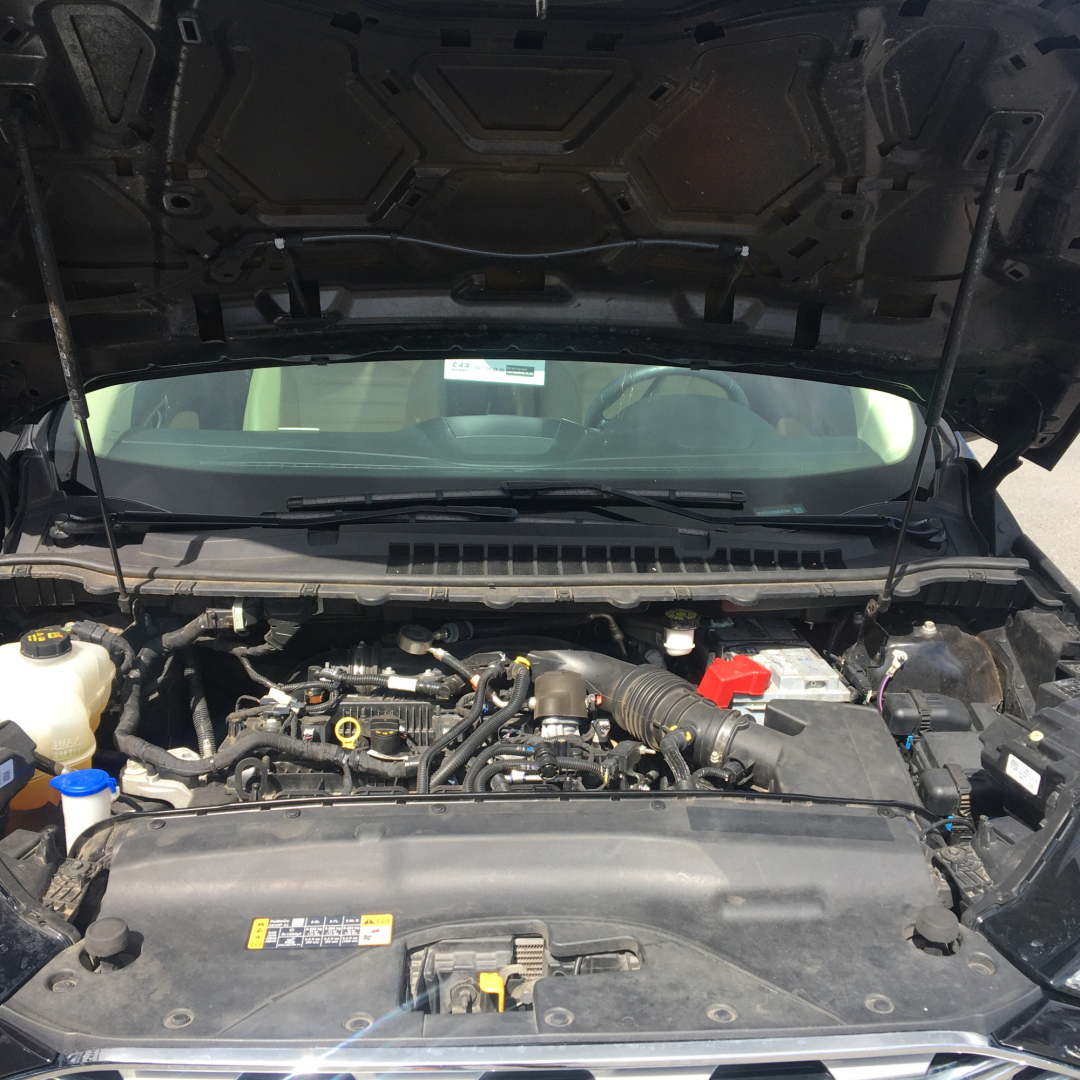 Ford Edge 2019 Ford Edge 2019