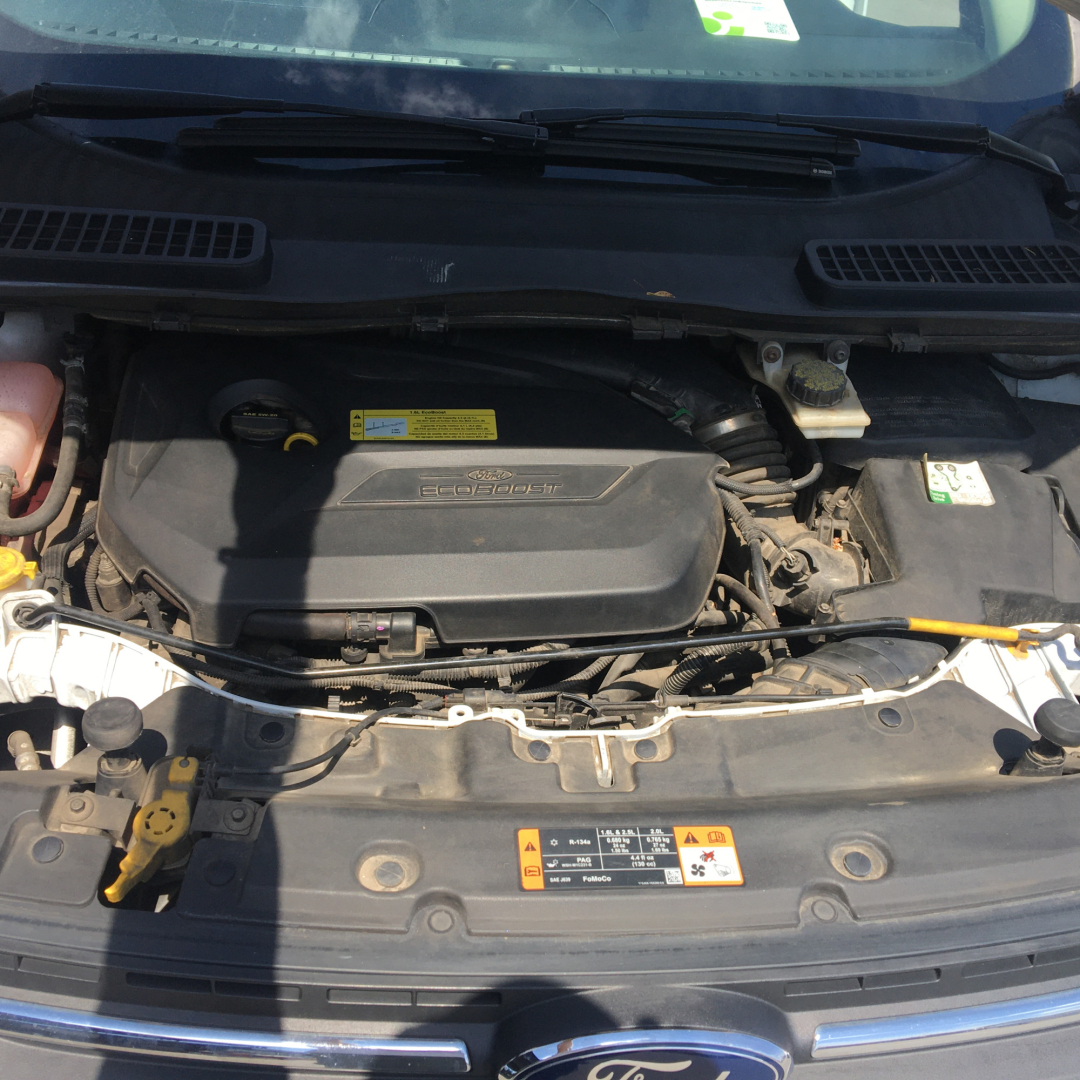 Ford Escape 2013 Ford Escape 2013