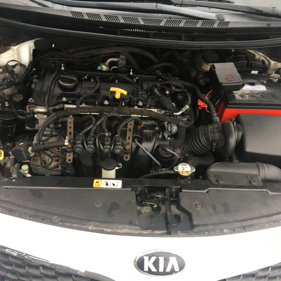 Kia Forte 2013 Kia Forte 2013