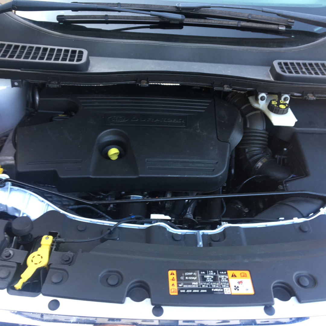 Ford Kuga 2019 Ford Kuga 2019