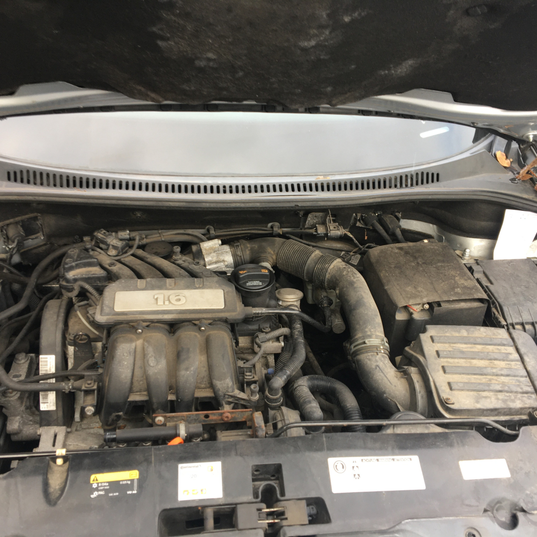 SEAT Altea XL 2010 SEAT Altea XL 2010