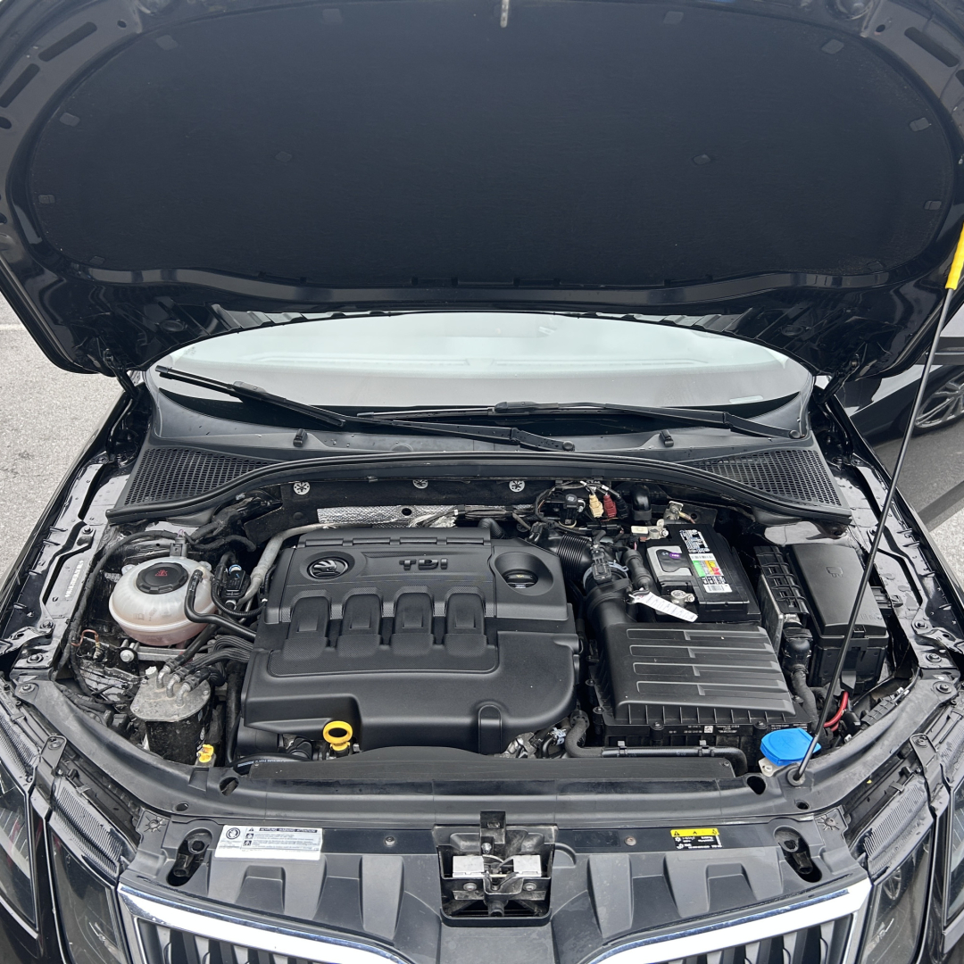 Skoda Octavia A7 2019 Skoda Octavia A7 2019