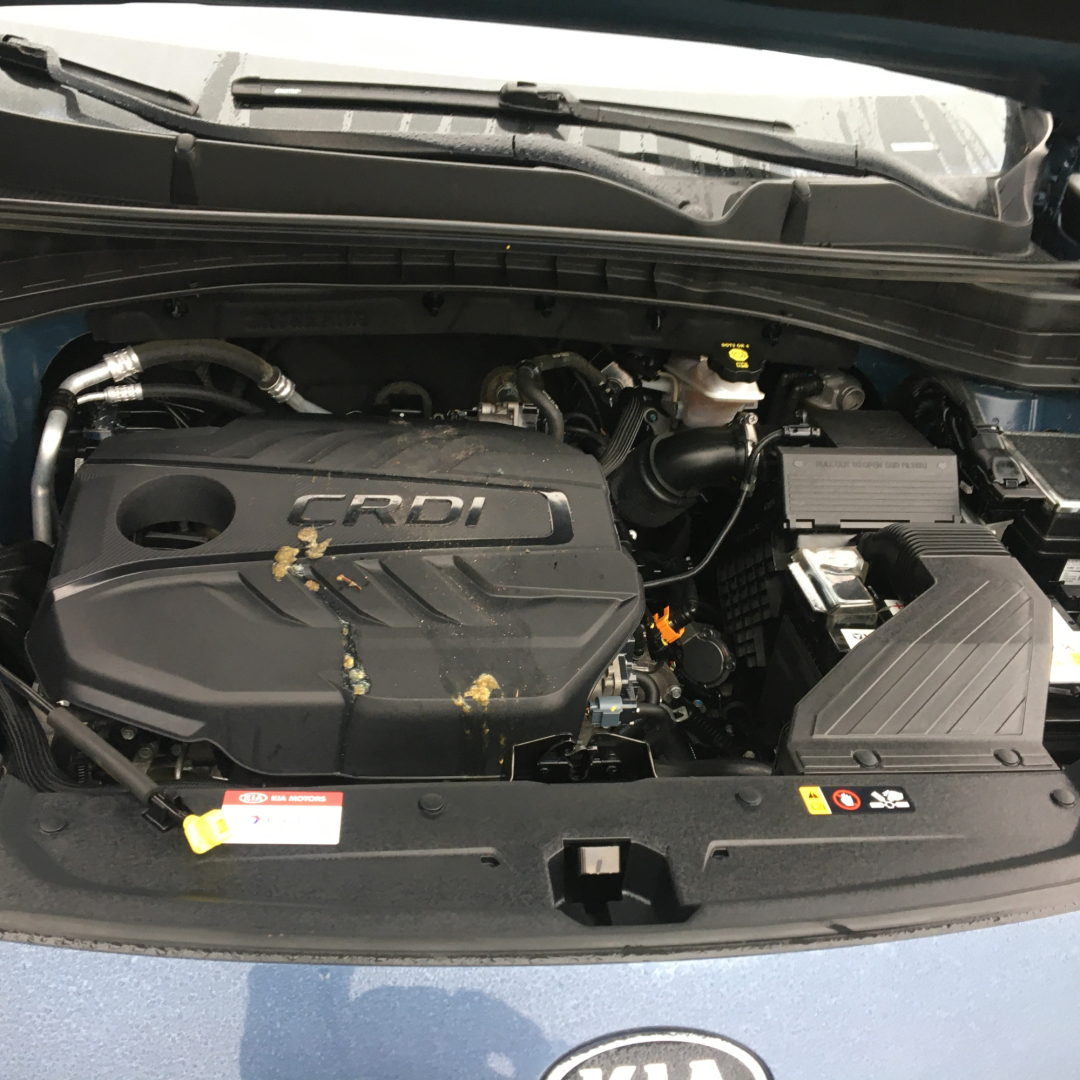 Kia Sportage 2018 Kia Sportage 2018